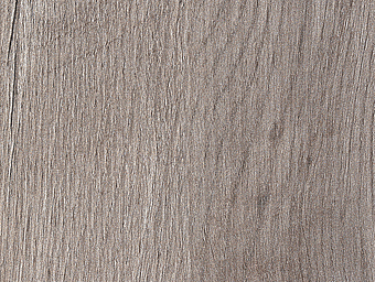 Steineiche Nachbildung